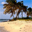 Free Sand Beaches Screensaver screenshot